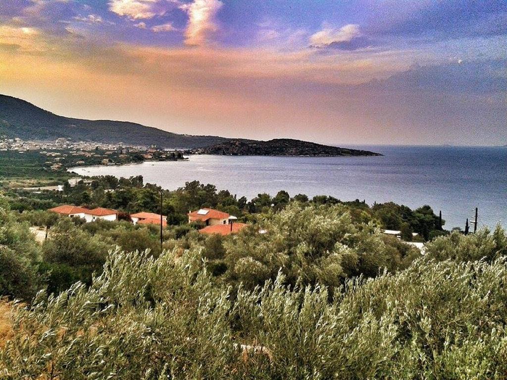 Апартаменты Athina Ecofarm Epidaurus Экстерьер фото